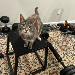 Meet your Posher, Caitlin